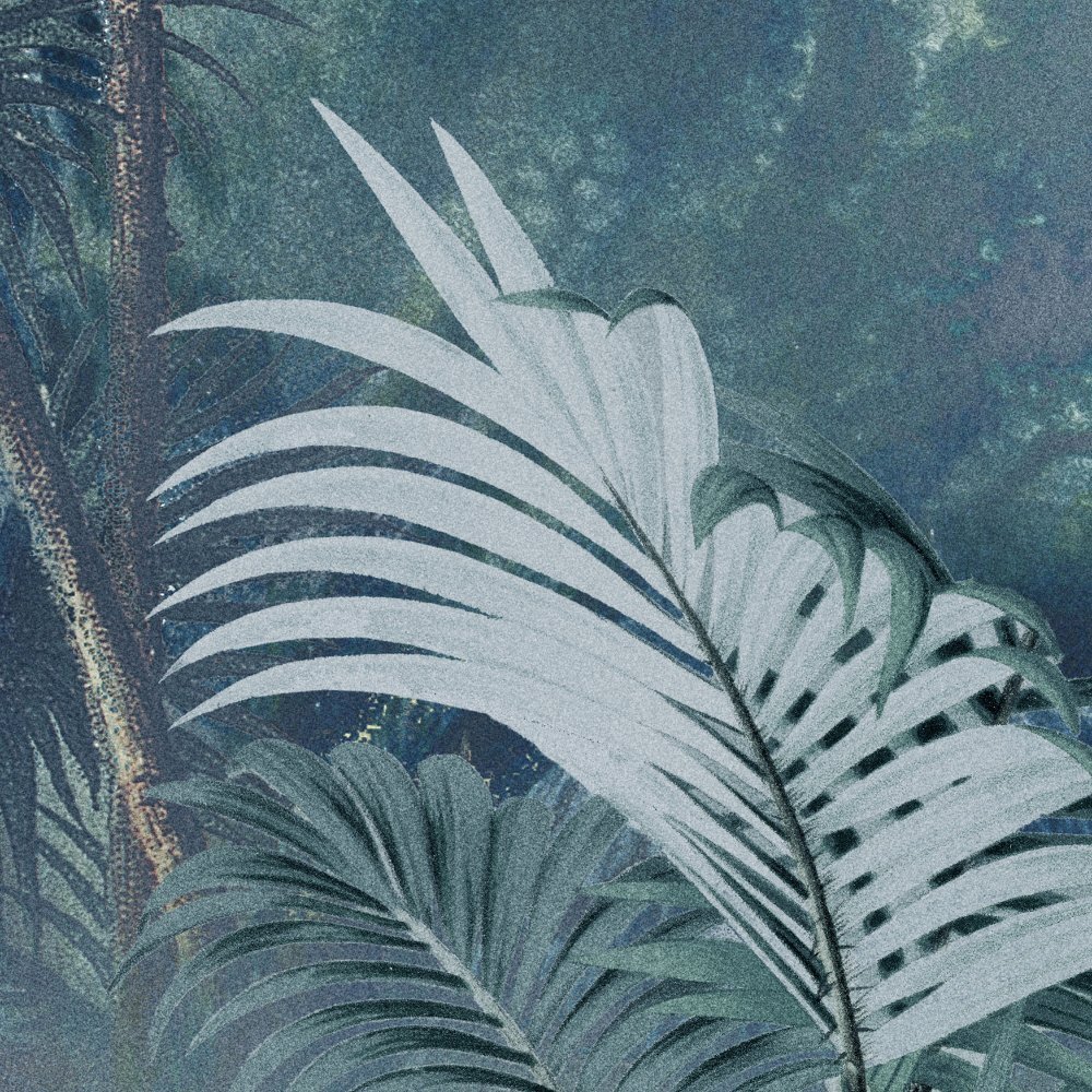 CROP1.jpg