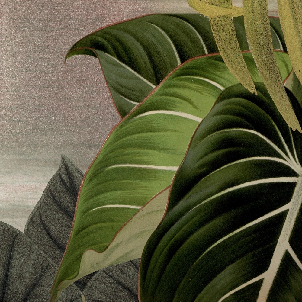 CROP4.jpg