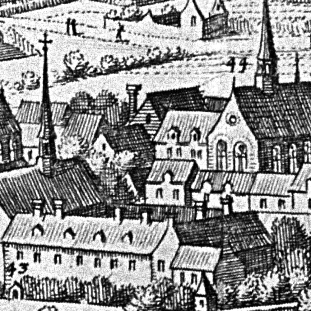 ELEVATION-D-CROP2.jpg