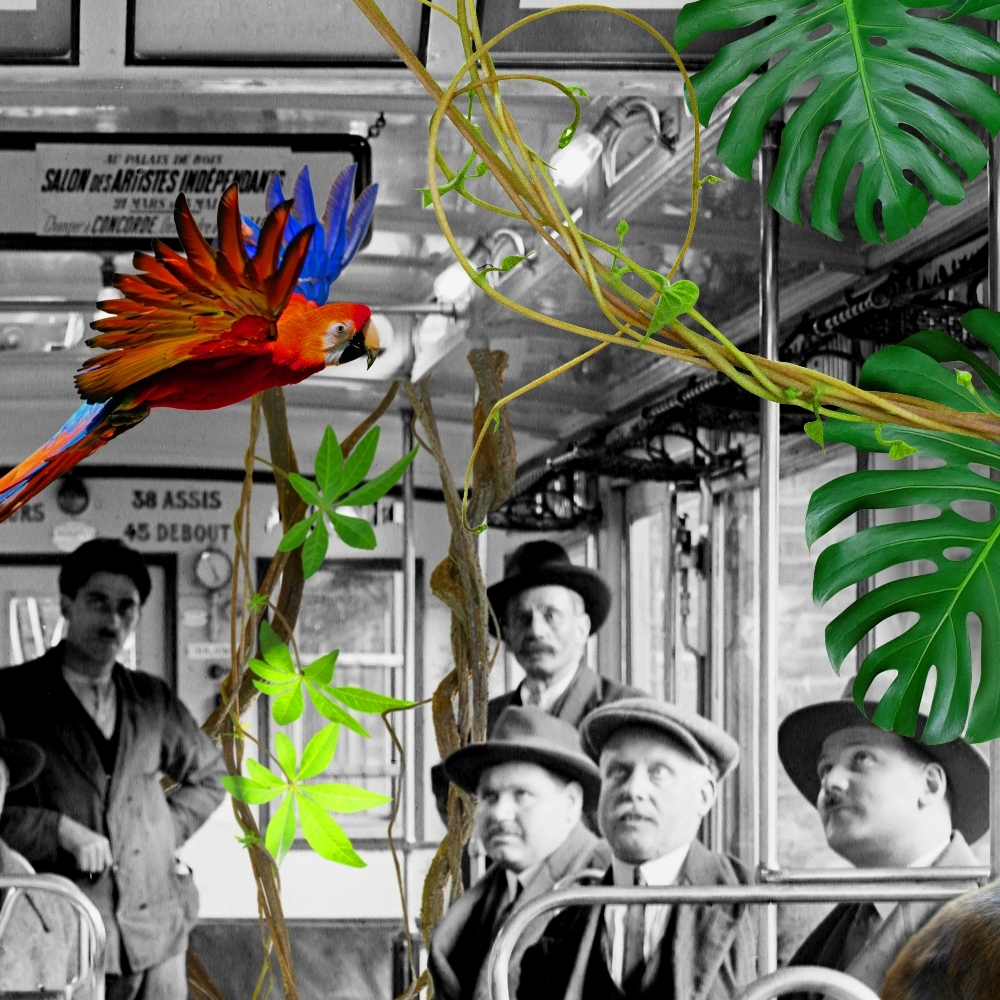 RATP-CROP2.jpg