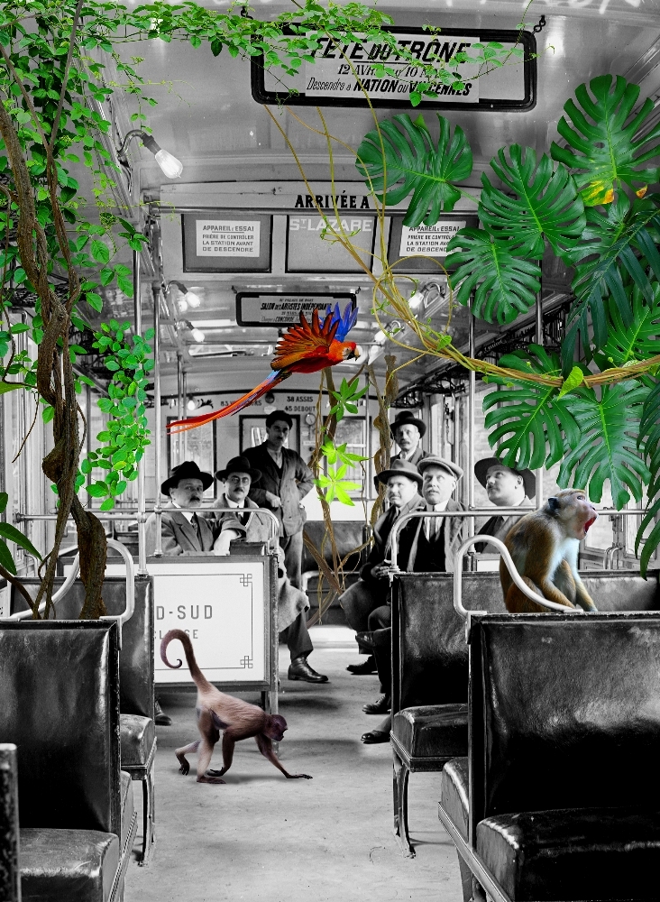RATP_BD.jpg
